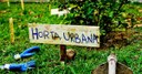 Projeto de Lei prevê instalação do Programa Horta Comunitária em Iguaba Grande